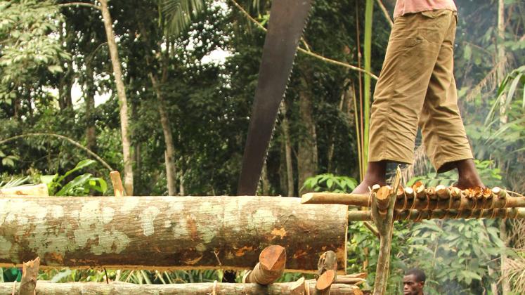 Photo of Ilima Primary School, Two carpenters working the manual saw to create lumbar